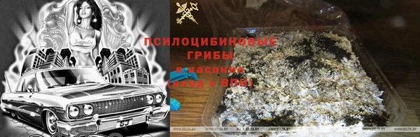 синтетический гашиш Арсеньев