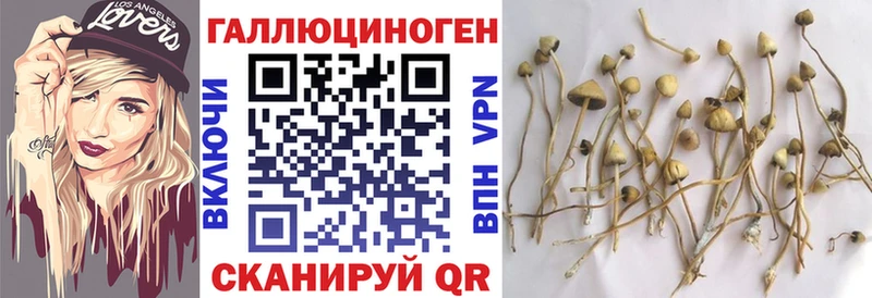 Галлюциногенные грибы GOLDEN TEACHER  даркнет клад  Белинский 